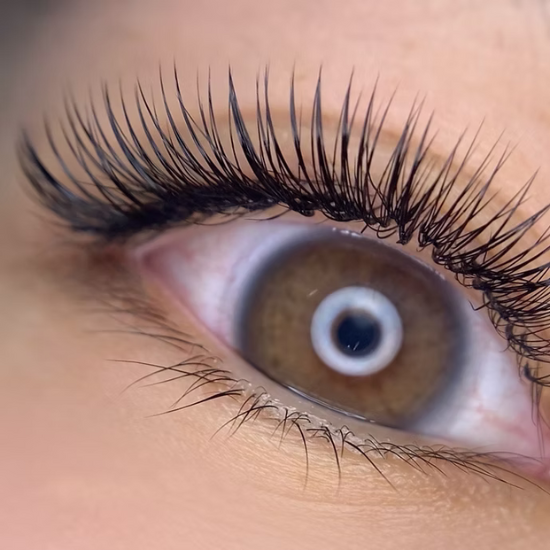 【早期割】Volume Extension 部門