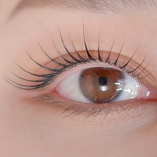 【早期割】Lashlift 部門