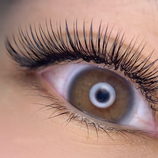 【早期割】Volume Extension 部門