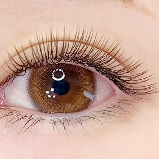 【早期割】Single Extension 部門