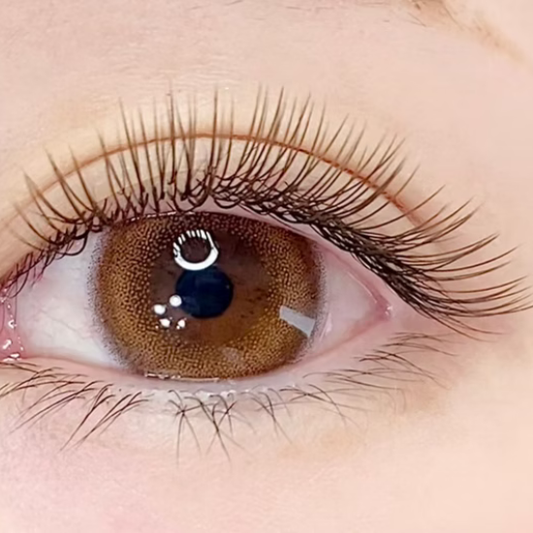 【早期割】Single Extension 部門